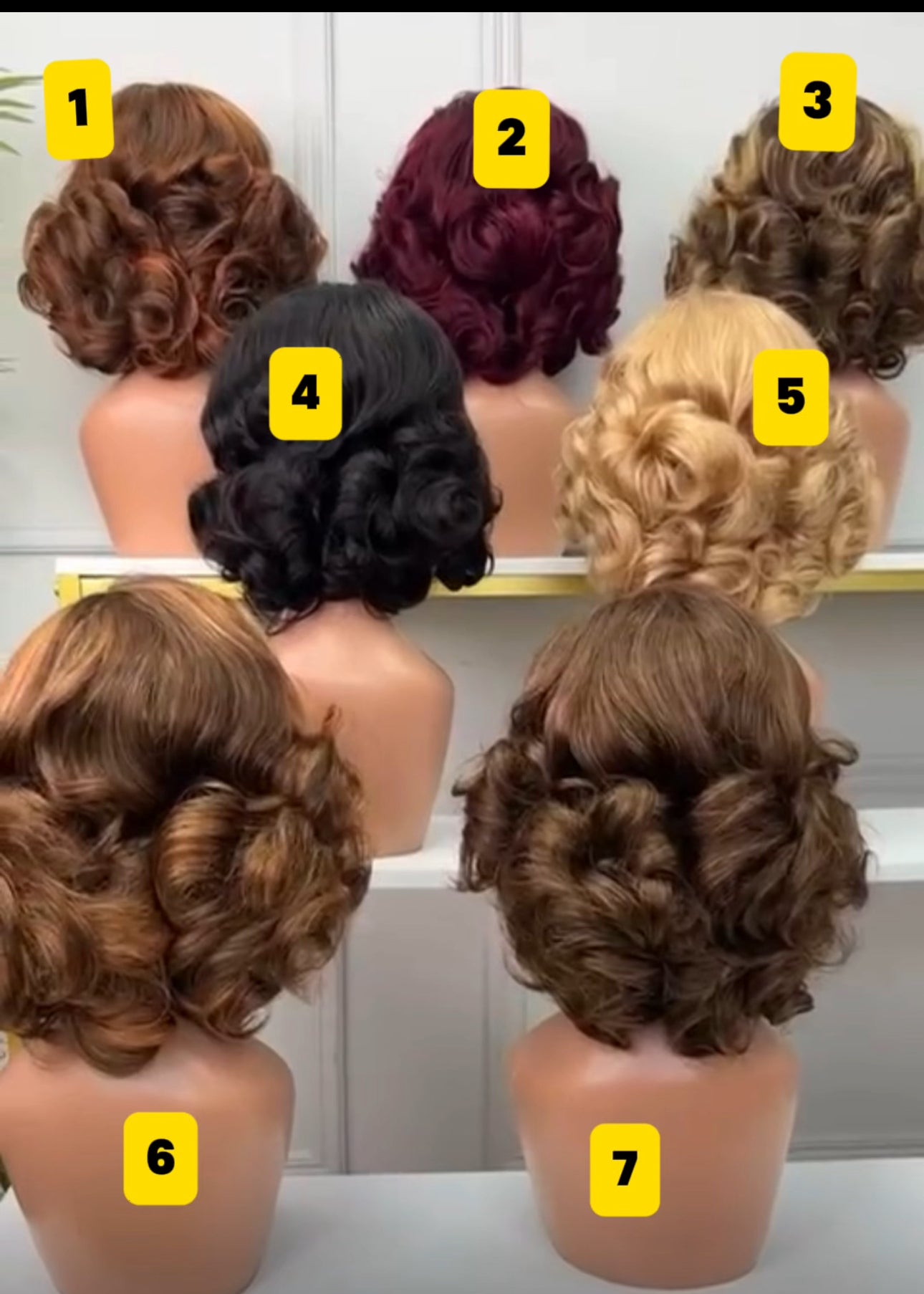 STEAM Wigs
